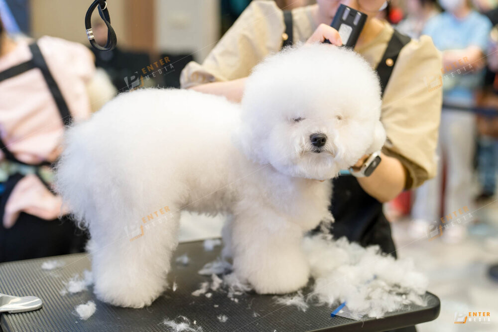 chup-su-kien-hyponic-igc-2024-12