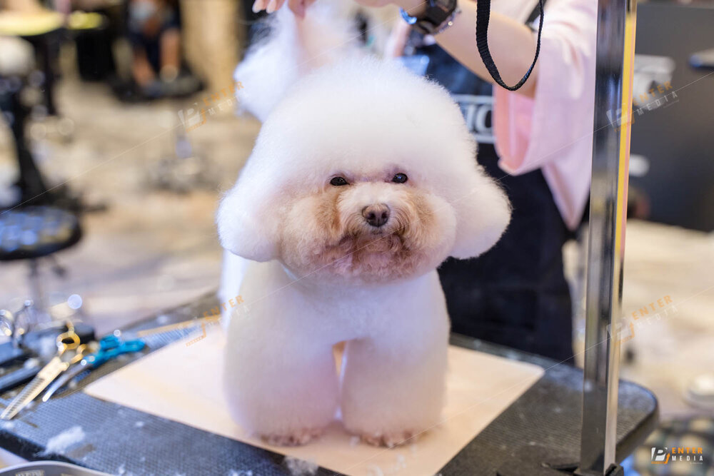 chup-su-kien-hyponic-igc-2024-21