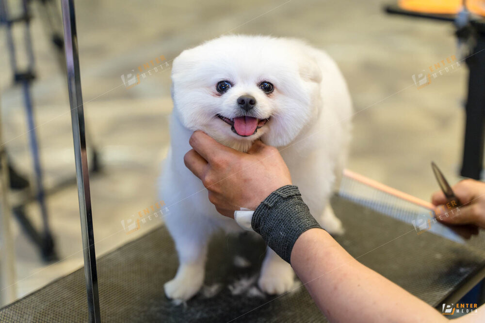 chup-su-kien-hyponic-igc-2024-36