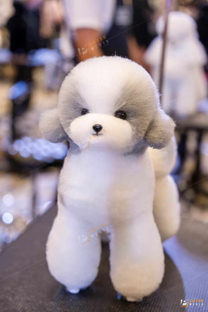 chup-su-kien-hyponic-igc-2024-40