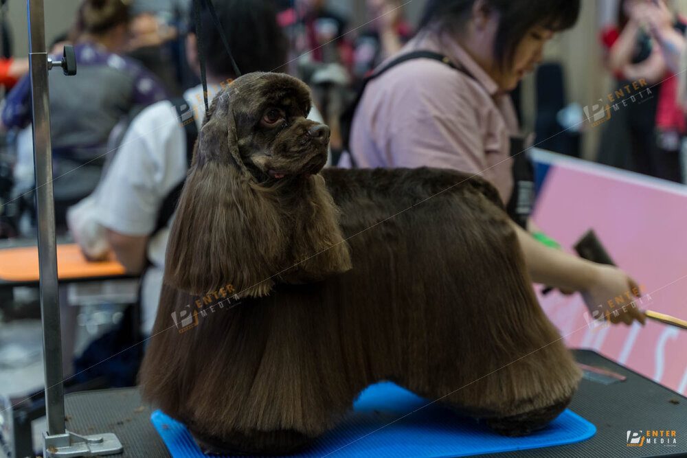 chup-su-kien-hyponic-igc-2024-42