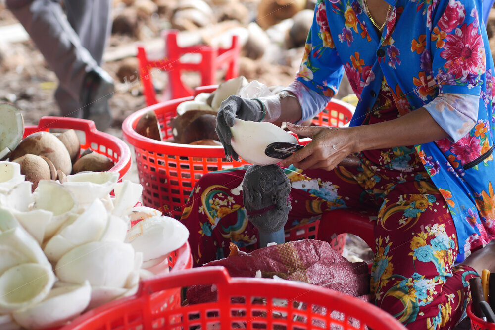 enter-media-chup-anh-quay-phim-team-building-cho-oxalis-008