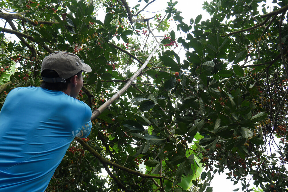 enter-media-chup-anh-quay-phim-team-building-cho-oxalis-029