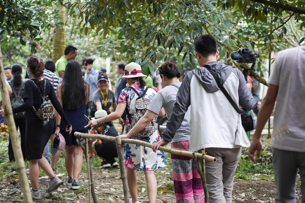 Chuyến company trip tại Bến Tre đầy kỷ niệm của Oxalis Advanture