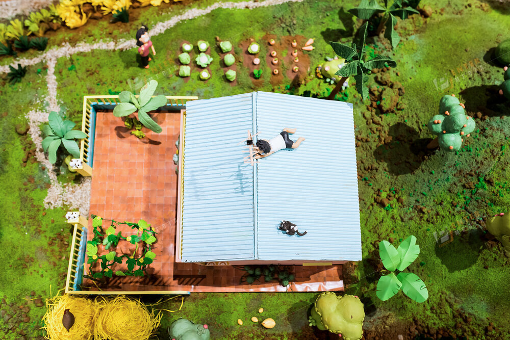 enter-media-chup-anh-trien-lam-showcase-thi-tran-hoa-muoi-gio-cho-nxb-du-but-004