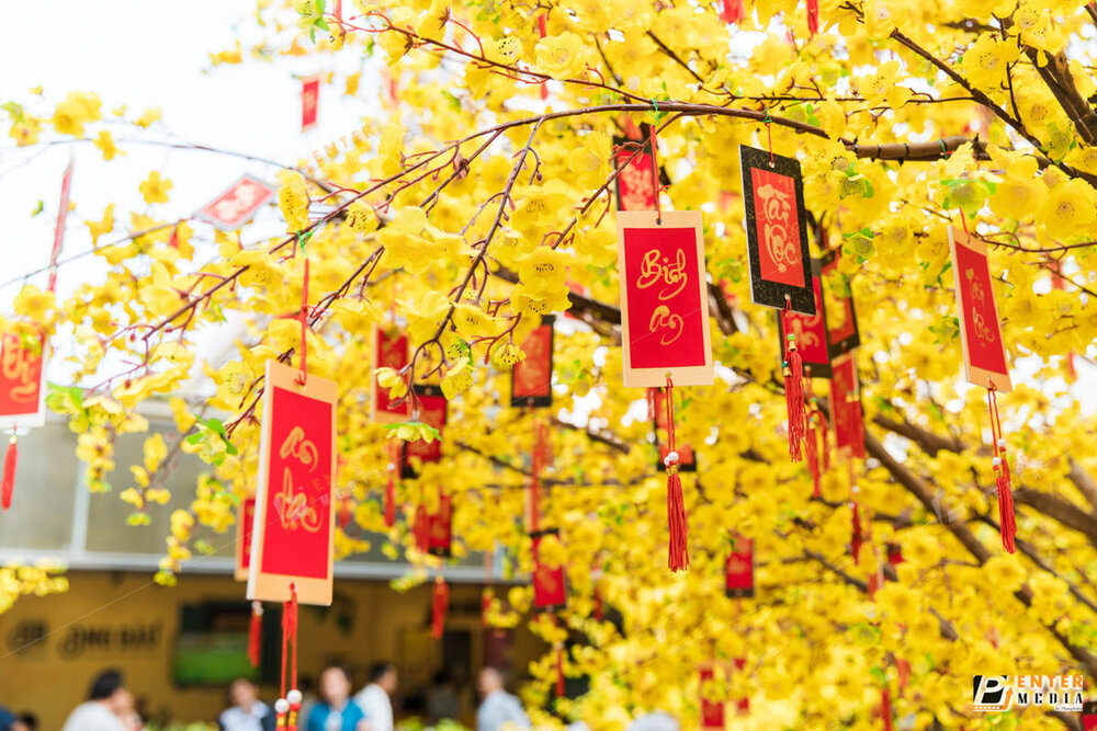 enter-media-chup-quay-su-kien-le-hoi-tet-viet-2021-cong-trinh-do-green-konoha-thuc-hien-002