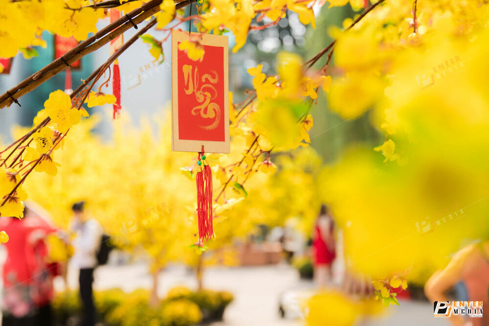 enter-media-chup-quay-su-kien-le-hoi-tet-viet-2021-cong-trinh-do-green-konoha-thuc-hien-012