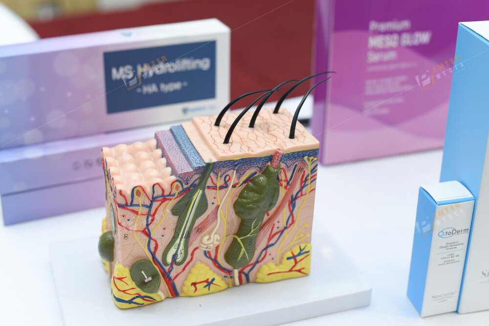 enter-media-quay-chup-su-kien-hoi-thao-dao-tao-set-up-he-thong-spa-tieu-chuan-han-quoc-017