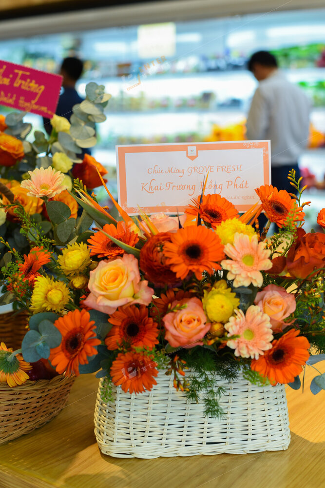 enter-media-chup-hinh-khai-truong-cua-hang-grove-fresh-015