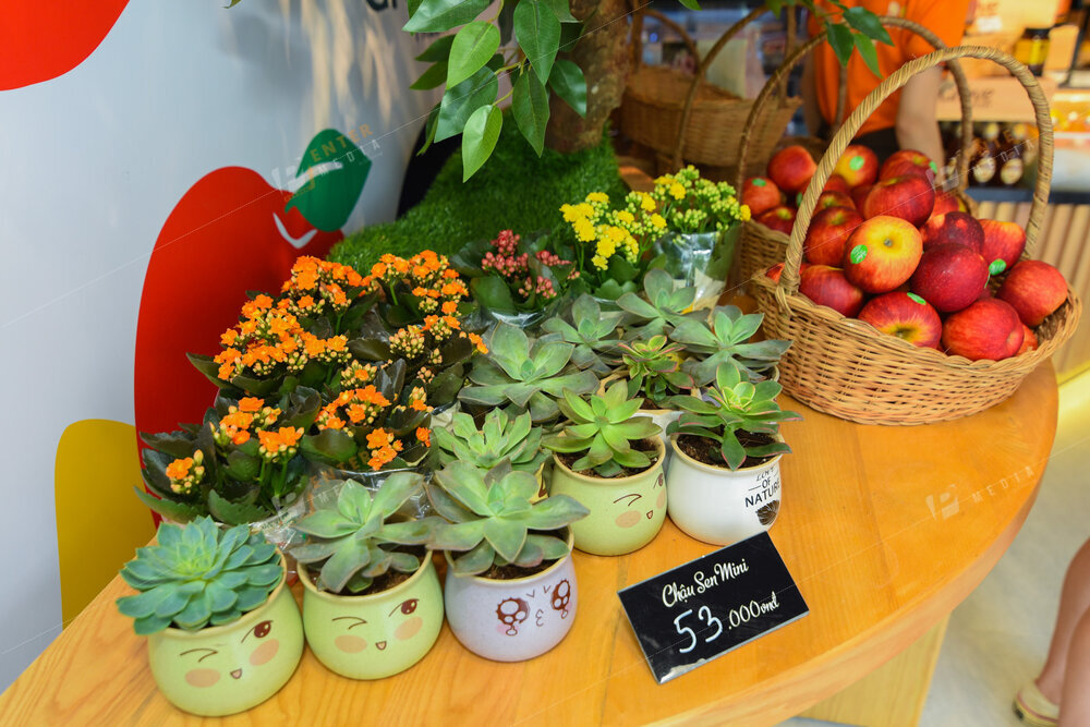 enter-media-chup-hinh-khai-truong-cua-hang-grove-fresh-017