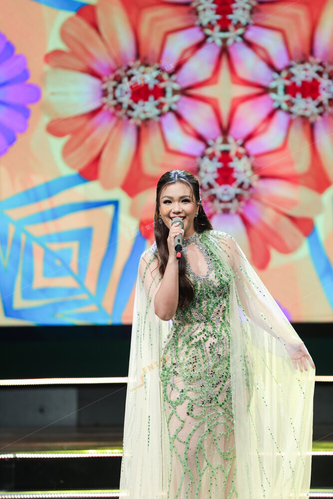 Hình ảnh ca sĩ trình diễn trong sự kiện