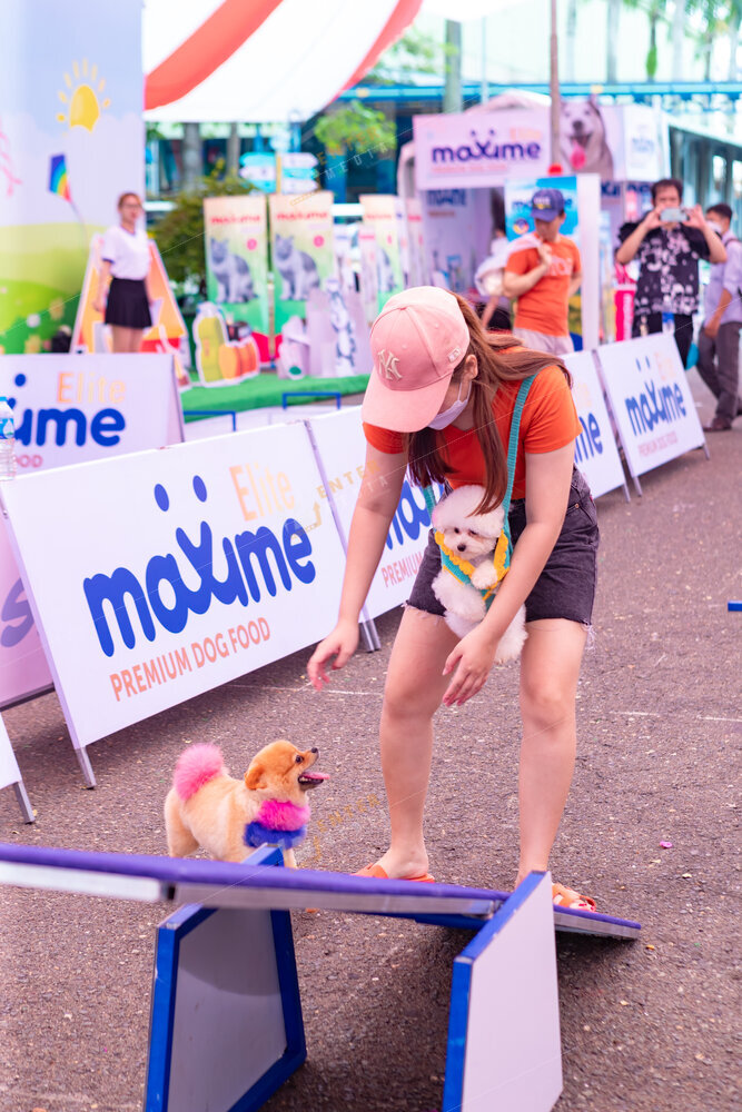 enter-media-quay-phim-chup-hinh-su-kien-dog-show-010