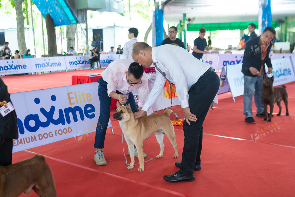 enter-media-quay-phim-chup-hinh-su-kien-dog-show-012