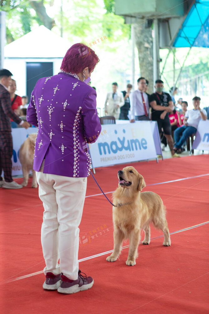 enter-media-quay-phim-chup-hinh-su-kien-dog-show-014