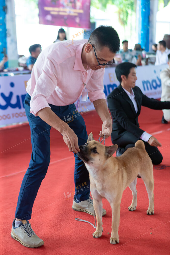 enter-media-quay-phim-chup-hinh-su-kien-dog-show-017