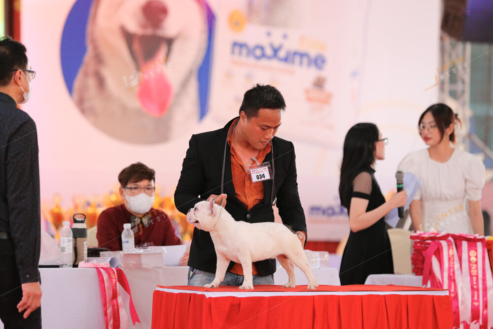 enter-media-quay-phim-chup-hinh-su-kien-dog-show-043