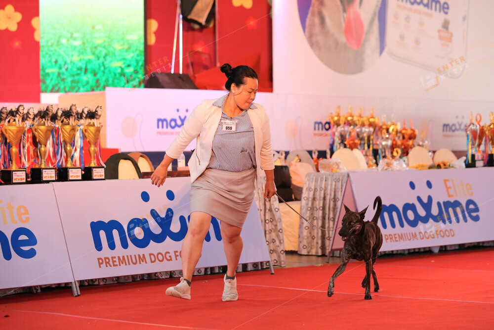 enter-media-quay-phim-chup-hinh-su-kien-dog-show-044