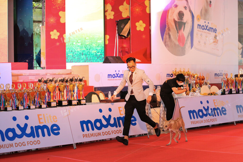 enter-media-quay-phim-chup-hinh-su-kien-dog-show-045