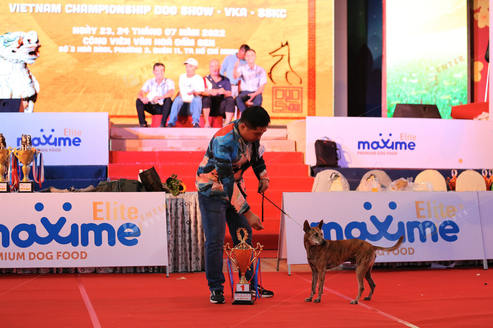 enter-media-quay-phim-chup-hinh-su-kien-dog-show-046