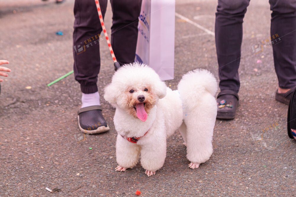 enter-media-quay-phim-chup-hinh-su-kien-dog-show-054