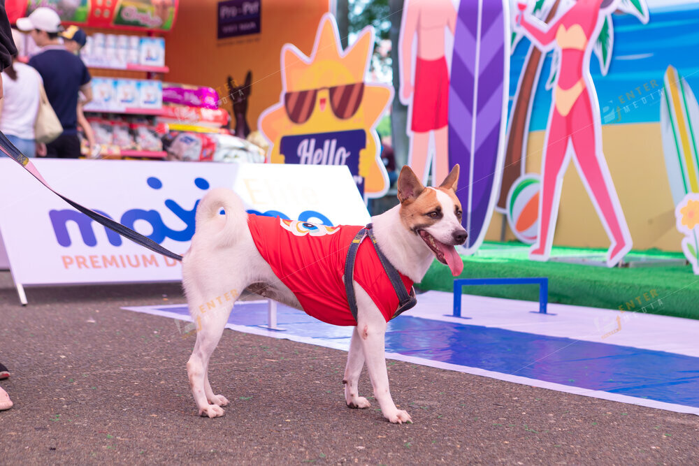 enter-media-quay-phim-chup-hinh-su-kien-dog-show-055