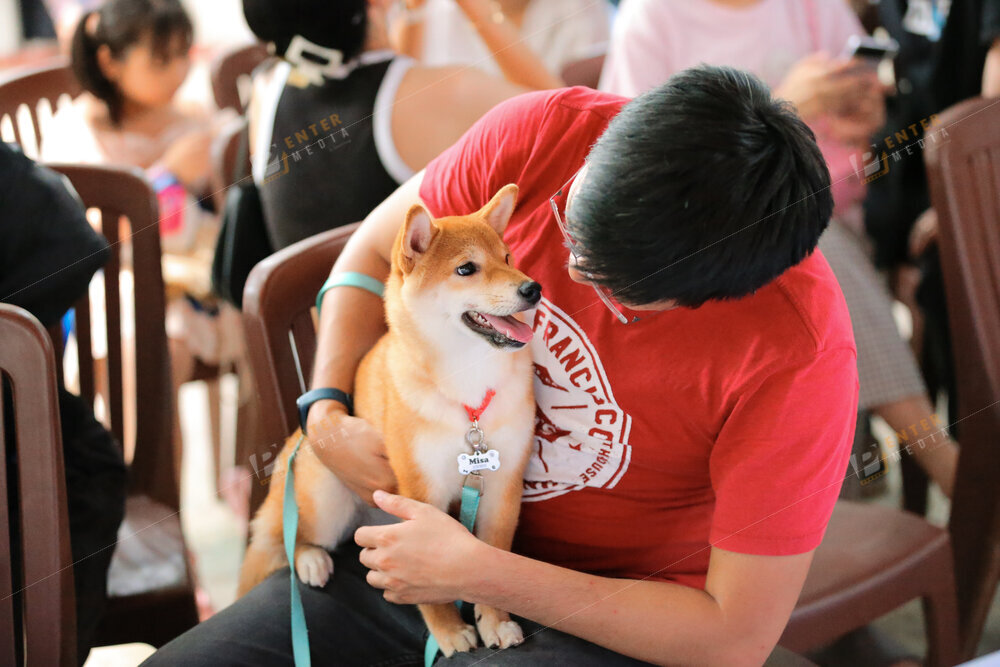 enter-media-quay-phim-chup-hinh-su-kien-dog-show-064