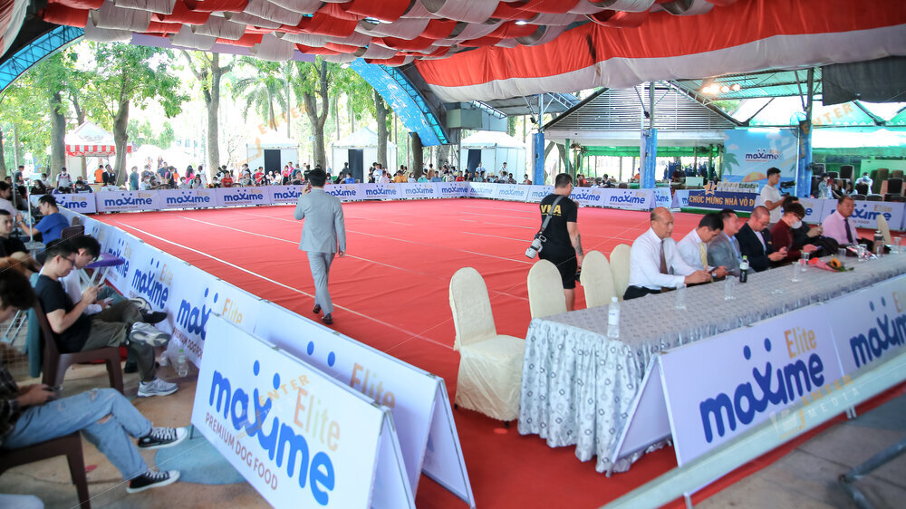 enter-media-quay-phim-chup-hinh-su-kien-dog-show-071