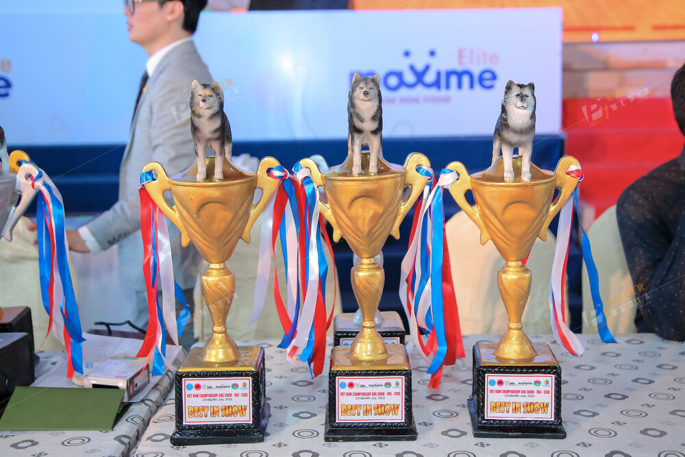 enter-media-quay-phim-chup-hinh-su-kien-dog-show-077