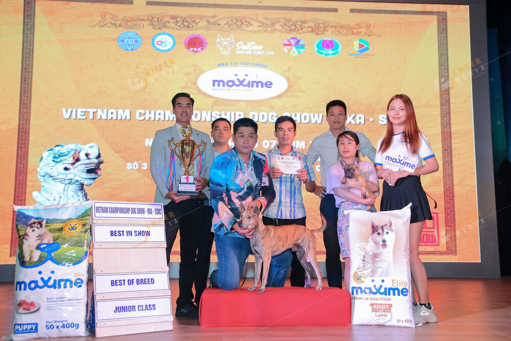 enter-media-quay-phim-chup-hinh-su-kien-dog-show-081