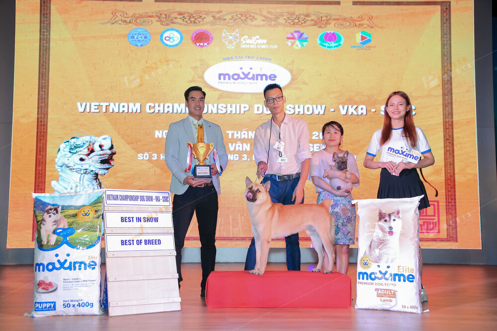 enter-media-quay-phim-chup-hinh-su-kien-dog-show-082