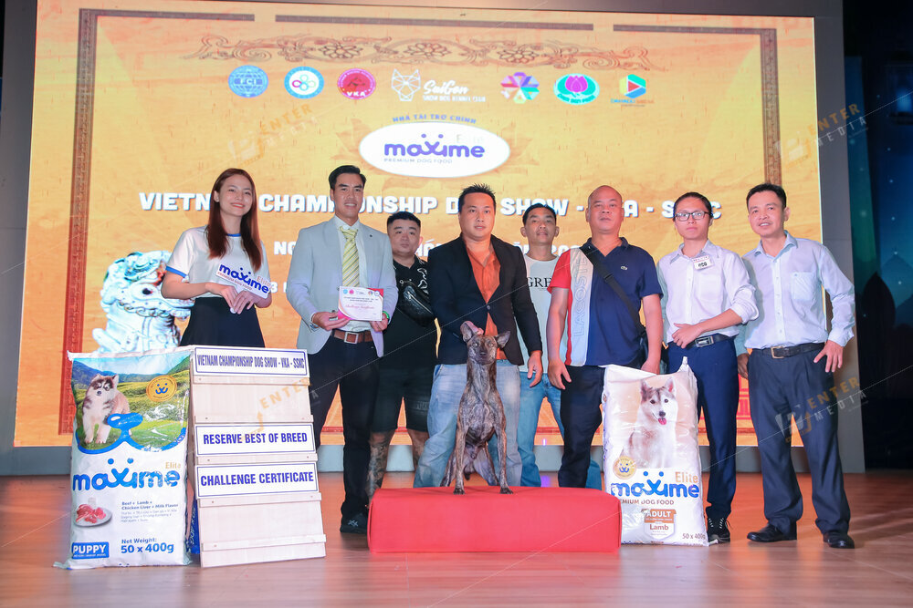 enter-media-quay-phim-chup-hinh-su-kien-dog-show-083